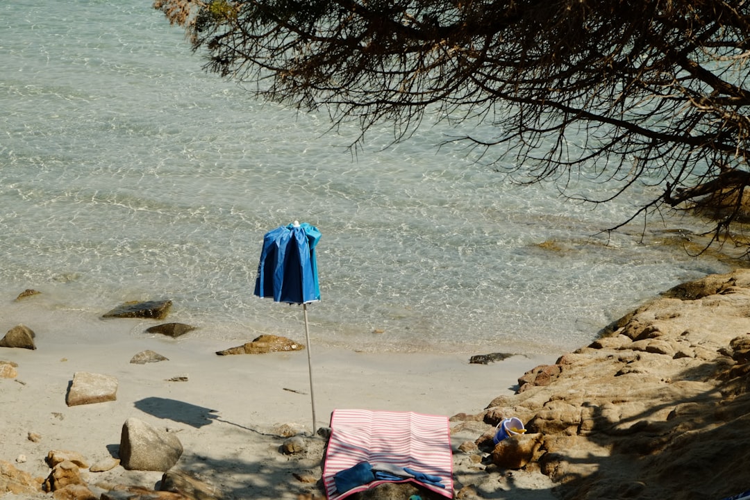 How to Choose the Perfect Picnic Blanket for Beach Days