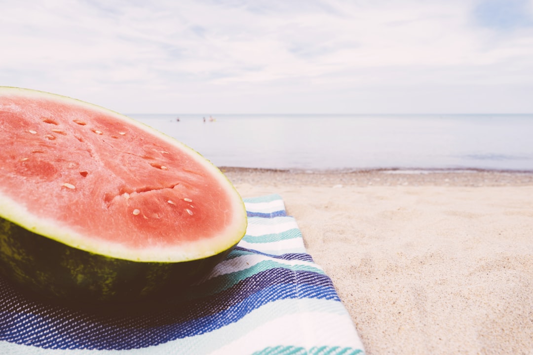 Beach Picnic Essentials: What You Need for a Day in the Sun